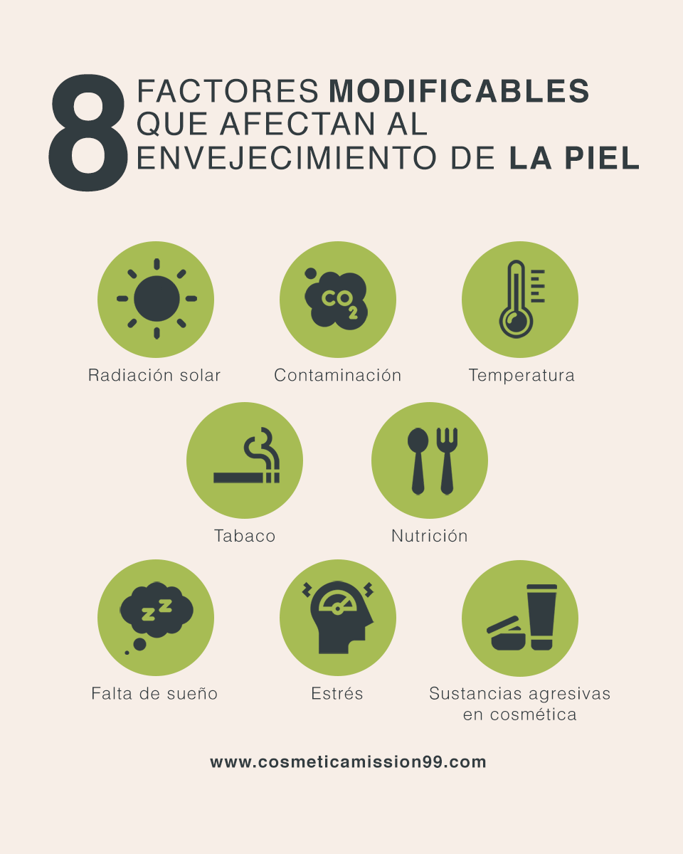 8 factores que contribuye al envejecimiento 