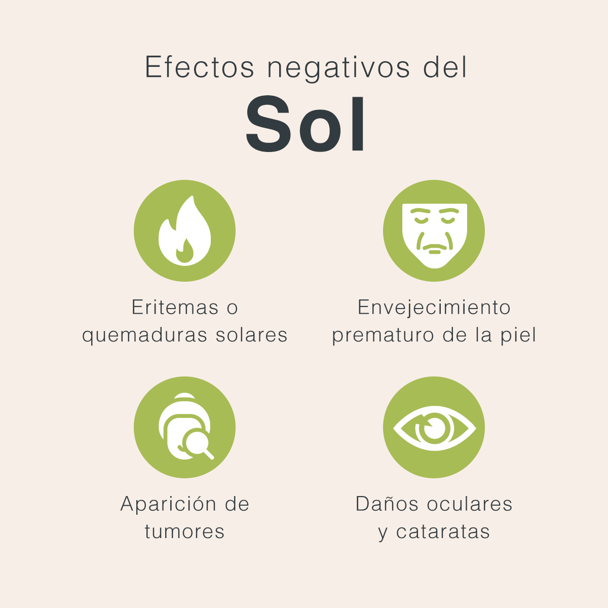 EFECTOS NEGATICOS DEL SOL 