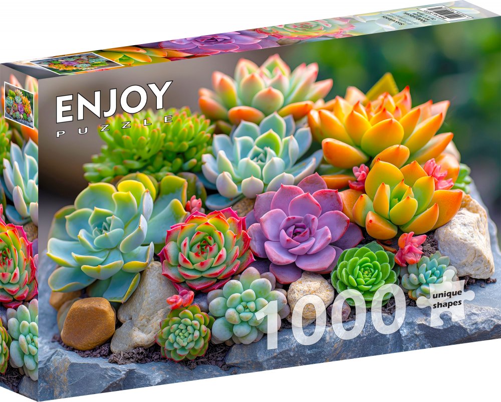 Puzzle Cultura: Suculentas